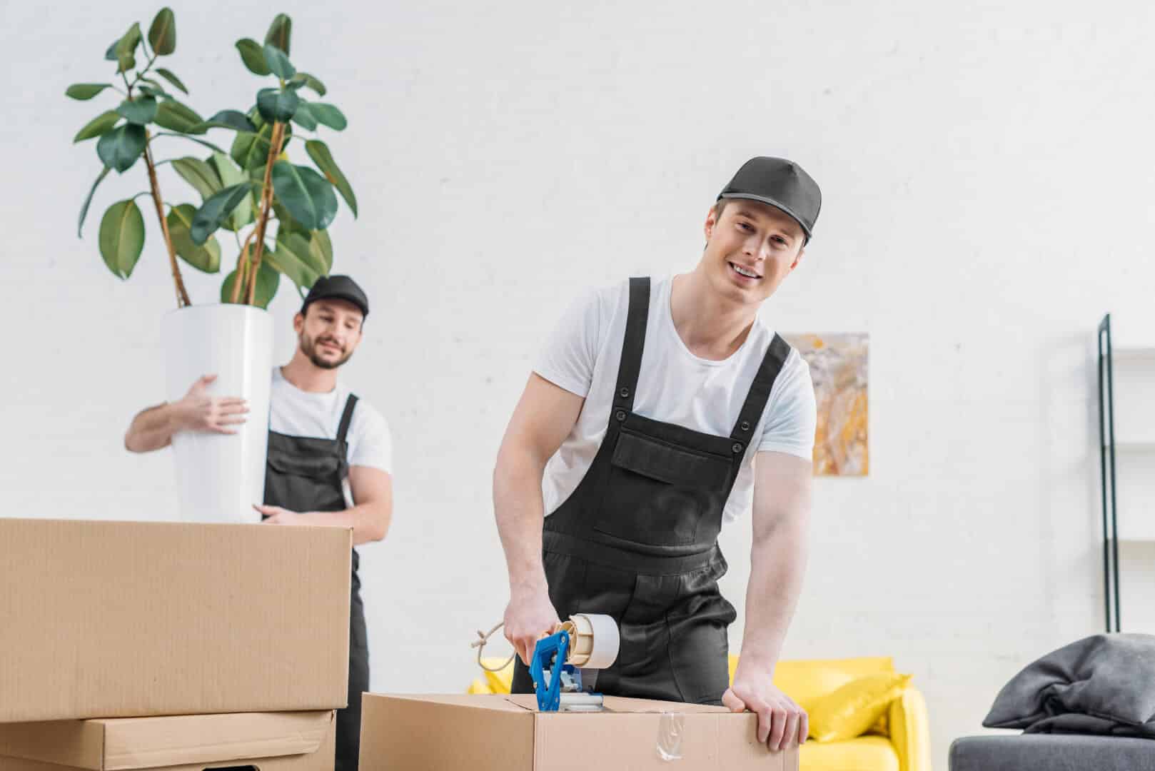 Packing Services By Buffalo Movers